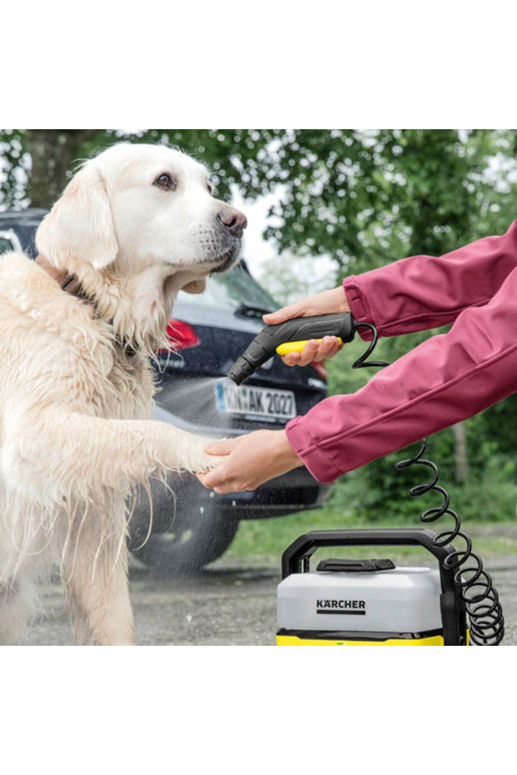 OC-3 İçin Animal Püskürtme Başlığı