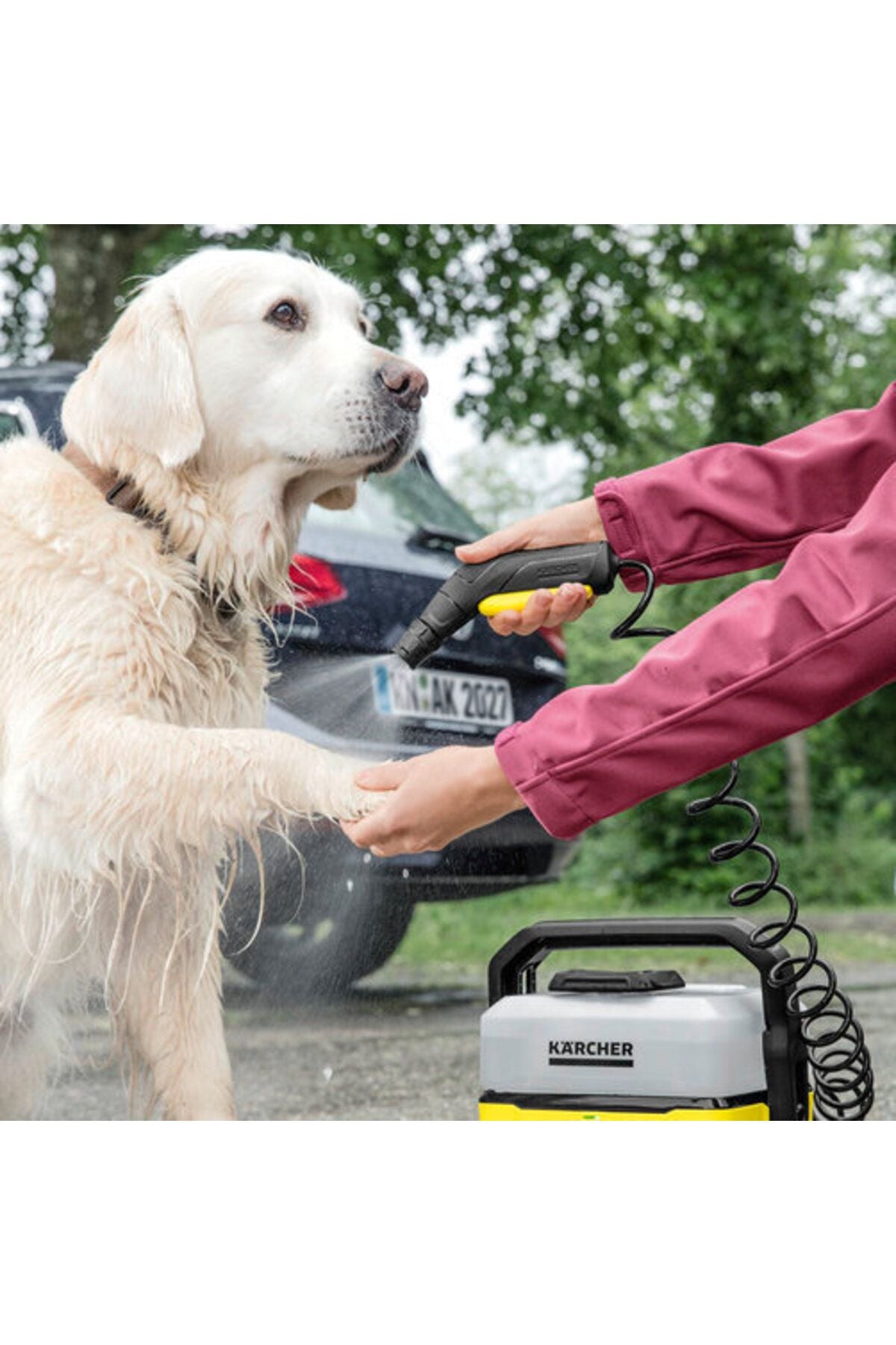 OC-3 İçin Animal Püskürtme Başlığı